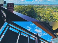 -王借岗森林公园