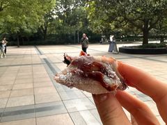 -沈大成(南京东路店)