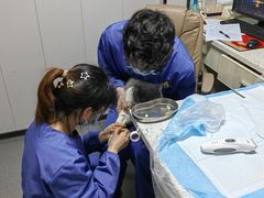 -半岛宠物医院24小时(科华中路店)