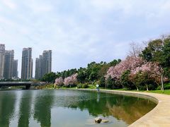 -天鹅湖体育公园