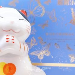-CAMENAE嘉媚乐