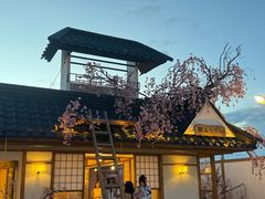 -Blue Concept Cafe&Farm·關於藍