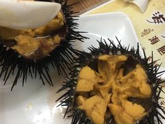 -海胆小馆(东北水饺·春柳店)