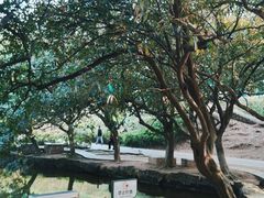 -三水森林公园