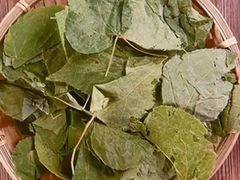 -上海市长宁区天山中医医院