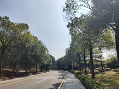 -中国移动南方基地