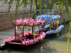 -荔湾湖公园
