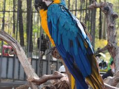 -北京野生动物园