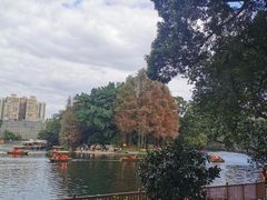 -荔湾湖公园