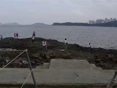 -野狸岛