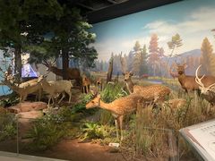 -陕西自然博物馆