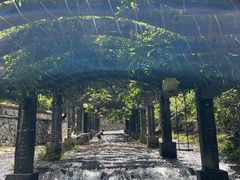 -花溪风景区