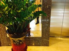 -齐汇维景大酒店游泳馆(山东政协大厦齐汇维景)