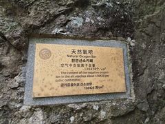 -炎陵县神农谷国家森林公园