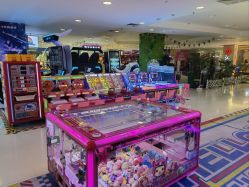 -Fang Fang Monkey·方方猴(国瑞购物中心店)