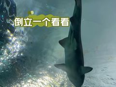 -瑞普利水族馆