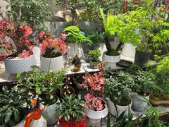 -双季花艺园艺市场(浦东店)