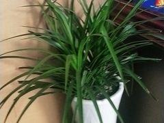 -知足堂养生会所(碑亭巷店)