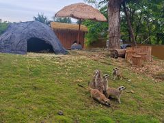 -泉州海丝野生动物世界