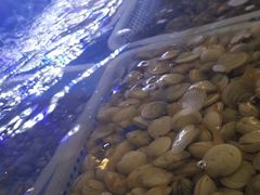-胶东海鲜大排档(北太平庄店)
