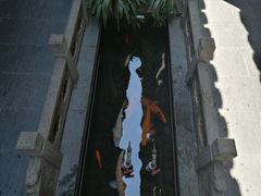 -唔呶喔哩酒家(生产街店)
