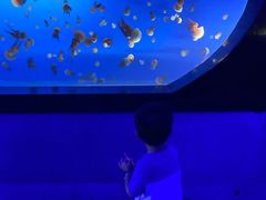 -梦幻海洋王国(吾悦广场张家港店)