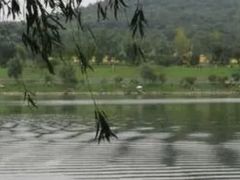 -羊山湖公园