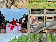 -黄海国家森林公园