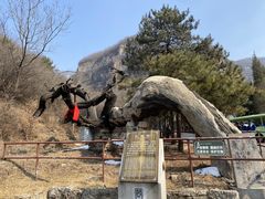 -藏山旅游风景区