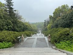 -宜兴龙背山森林公园
