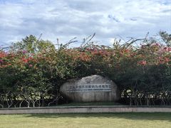 -中国科学院西双版纳热带植物园