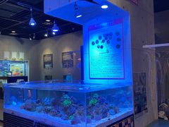 -鹿儿岛水族馆