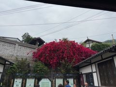 -燊海井
