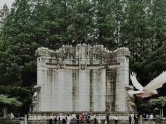 -音乐台