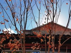 -VOYAGE COFFEE(杨梅竹店)