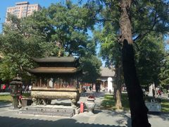 -护国法轮寺