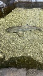 -Zoolung Zoolung动物主题公园(海信广场店)