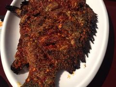 iphone_upload_pic-特种渔场