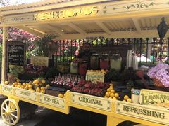 -The Grounds of Alexandria