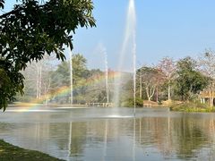 -中国科学院西双版纳热带植物园