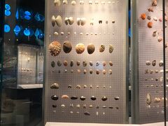 -贝林大翅鲸简餐厅(国家海洋博物馆店)