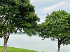 -松山湖风景区松湖烟雨