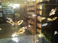 -宠物世家(仲盛世界商城店)