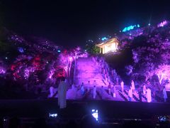-印象普陀