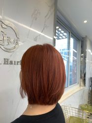 -潘多拉Hairsalon