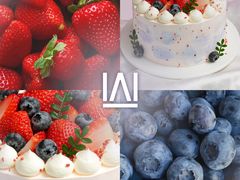 -维尔纳斯·生日蛋糕·动物奶油冰淇淋蛋糕(六里桥店)