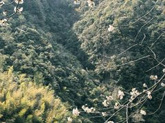 -磐安十八涡风景区