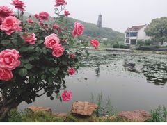 -龙寺生态园