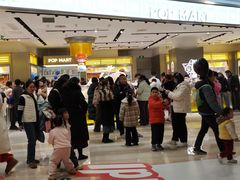 -金茂览秀城