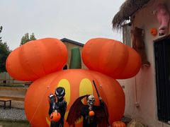 -HERRE·FARM 赫尔露营农场·团建聚会包场